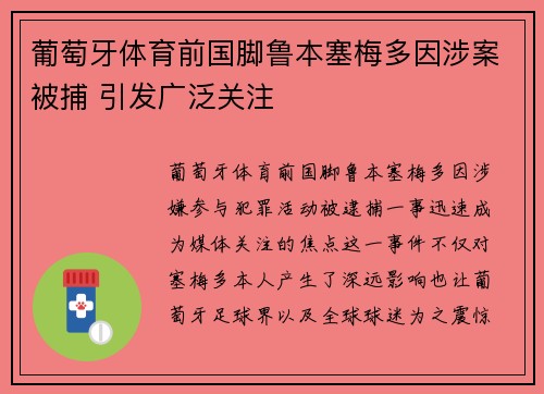 葡萄牙体育前国脚鲁本塞梅多因涉案被捕 引发广泛关注