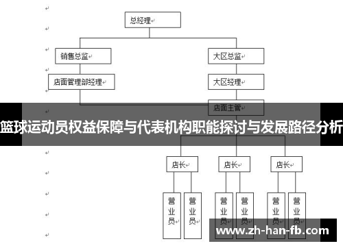 篮球运动员权益保障与代表机构职能探讨与发展路径分析