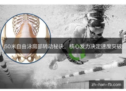 50米自由泳肩部转动秘诀,核心发力决定速度突破 50米自由泳肩部转动秘诀,核心发力决定速度突破